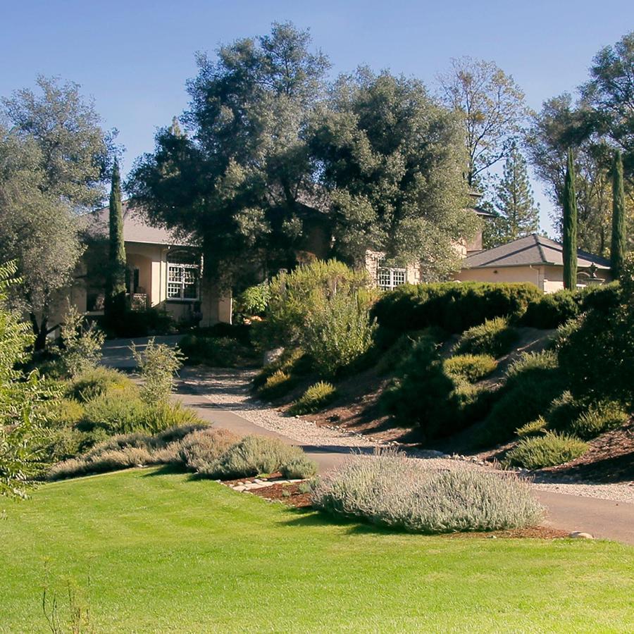 Bed and breakfast Bella Vista 3*