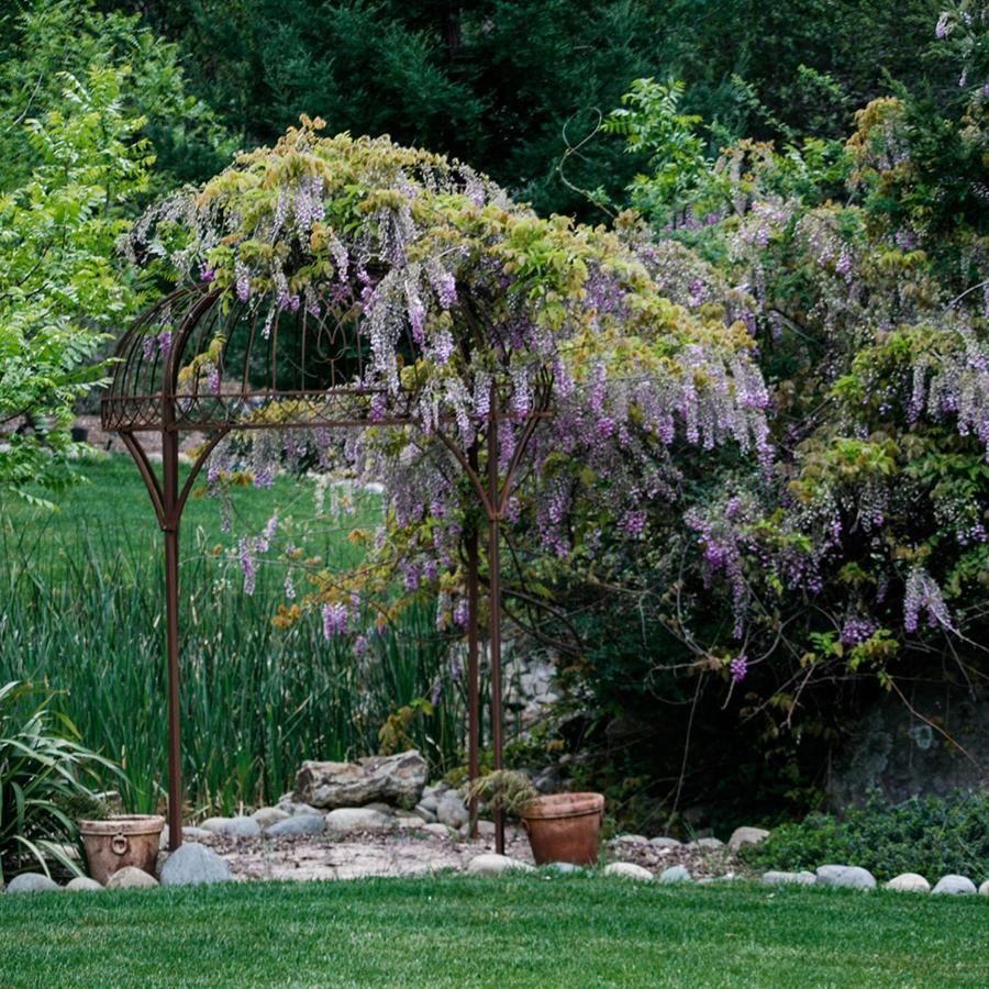 Bella Vista Bed and breakfast 3*