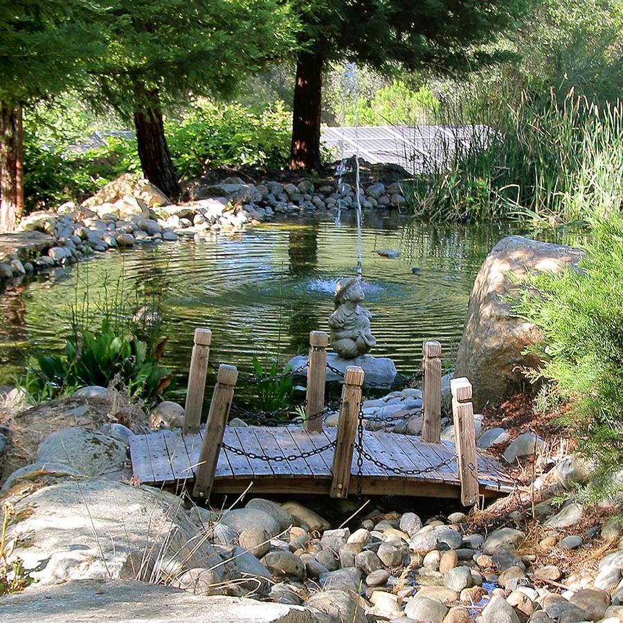 Bed and breakfast Bella Vista Coloma
